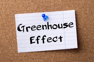 Sera etkisi - kalçası not kağıdı bulletin board tutturulmuş.