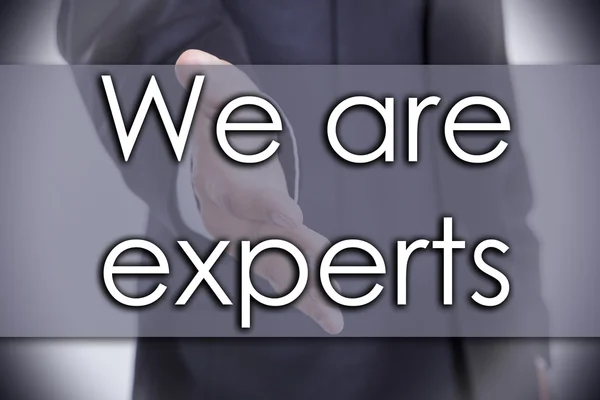 We are experts - business concept with text — Stock Photo, Image