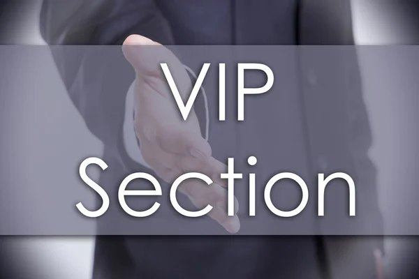 VIP sektion - affärsidé med text — Stockfoto