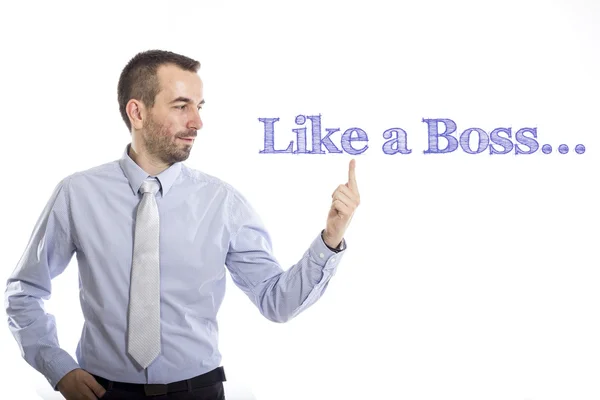 Like a Boss — Stock Photo, Image