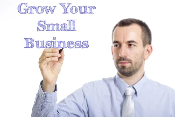 Grow Your Small Business - молодий бізнесмен пише синій текст — стокове фото