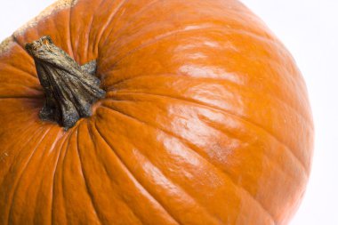 izole halloween balkabağı