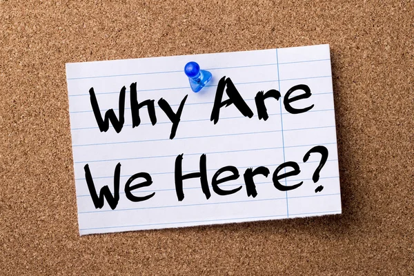 Why Are We Here? - teared note paper pinned on bulletin board — Stock Photo, Image