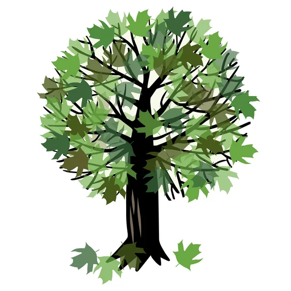 Ilustración vectorial con un árbol de arce — Archivo Imágenes Vectoriales