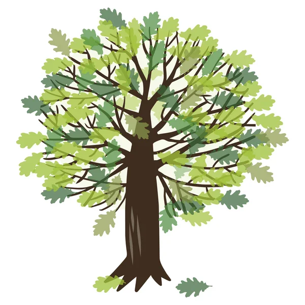 Vector illustration with oak tree — Stock Vector