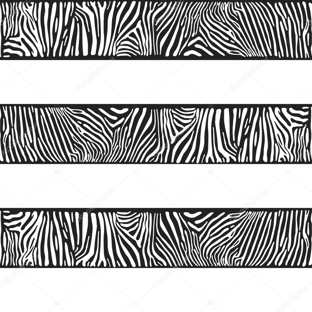 Stripes of zebras