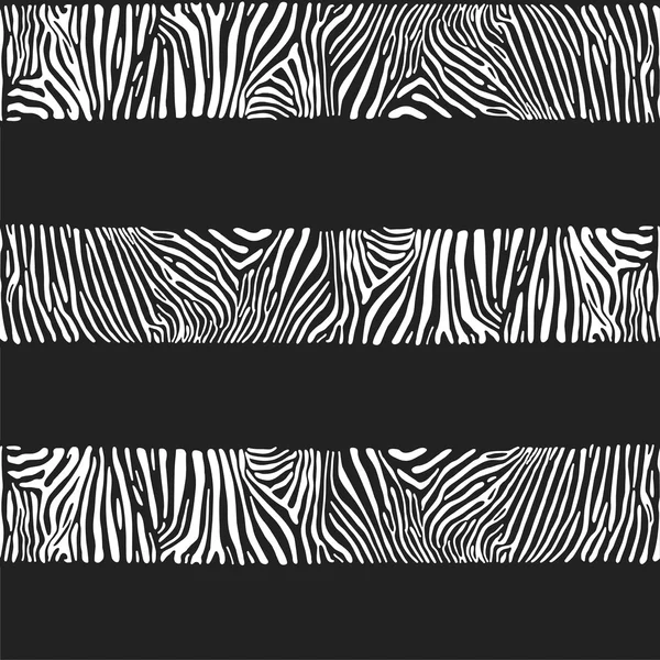 Stripes of zebras — Stock Vector