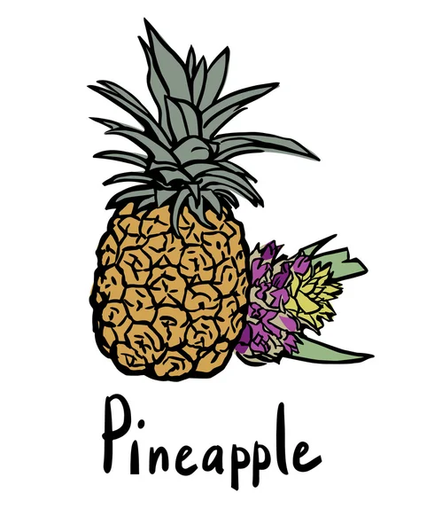 Fruta de piña — Vector de stock