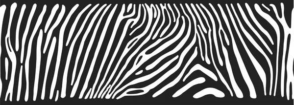 Achtergrond met Zebra huid — Stockvector