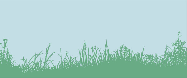 Grass. Horizontal seamless pattern