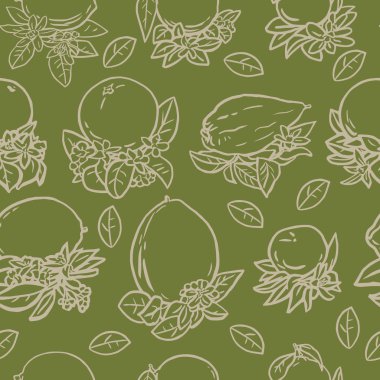 Çeşitli tropikal narenciye