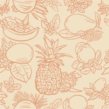 çeşitli tropikal meyveler