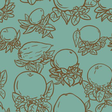 Çeşitli tropikal narenciye