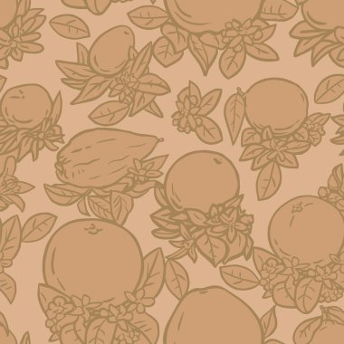 Çeşitli tropikal narenciye