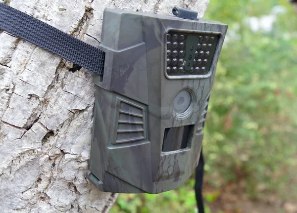 Camera traps with infrared light and a motion detector attached by straps on a tree