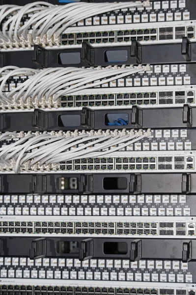 patch cord cables going from patch panel to network switches