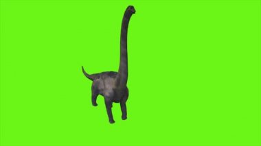 Diyagram. Yüksek kaliteli görüntüler