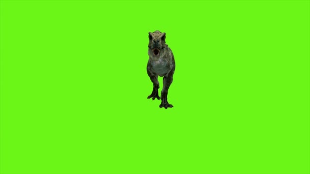 Een schilderstuk van een hond — Stockvideo