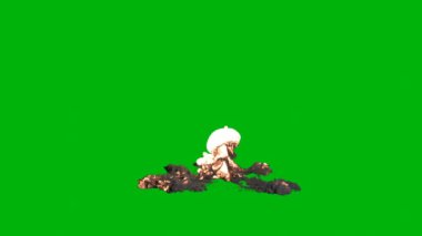 Grafiksel kullanıcı arayüzü