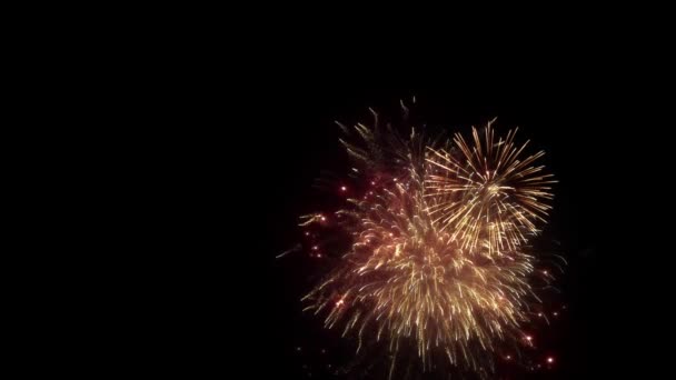Esplosione di fuochi d'artificio reali — Video Stock
