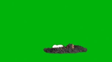 Grafiksel kullanıcı arayüzü