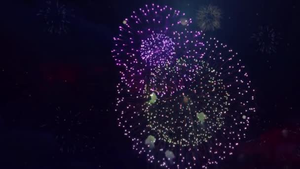 Fuochi d'artificio nel cielo — Video Stock