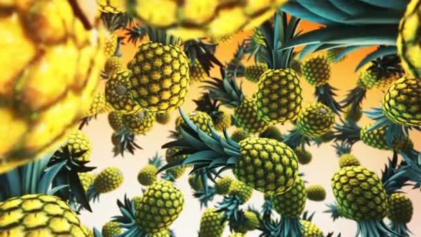 Un gros plan d'un ananas — Video