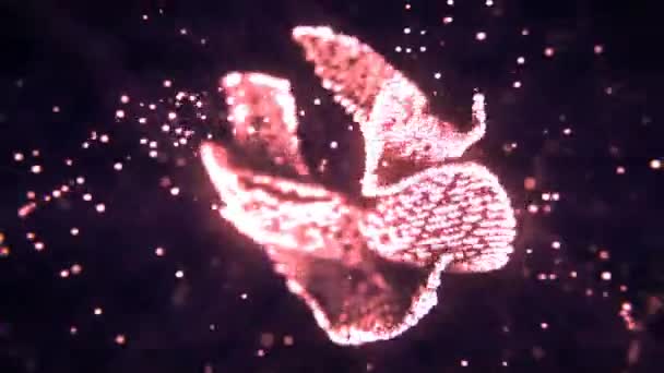 Фейерверки в небе — стоковое видео