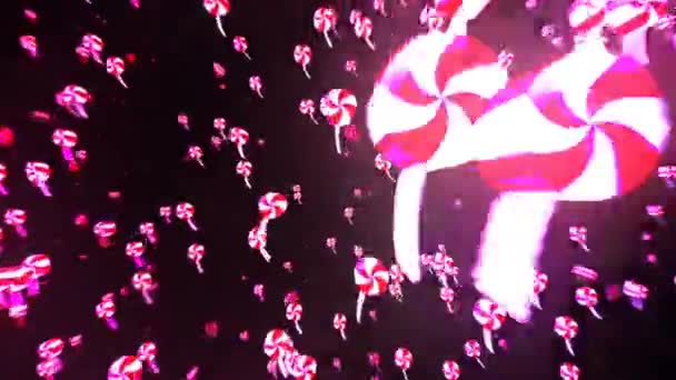 En skärmdump av en blomma — Stockvideo