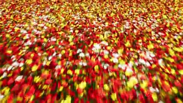 Група барвистих квітів — стокове відео