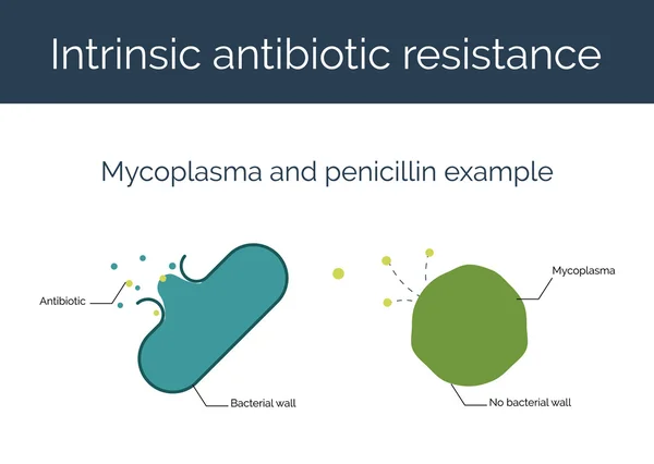 Vnitřní rezistence k antibiotikům vektorové ilustrace. — Stockový vektor