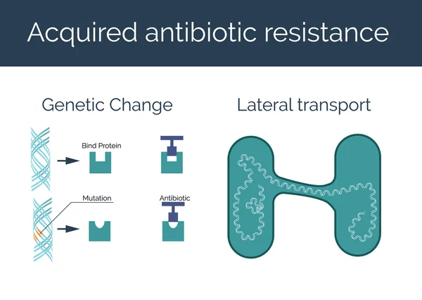 Získaná rezistence vůči antibiotikům vektorové ilustrace. — Stockový vektor