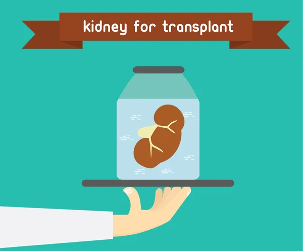 Nyretransplantasjonskonsept. Illustrasjon av ulovlig organhandel – stockvektor