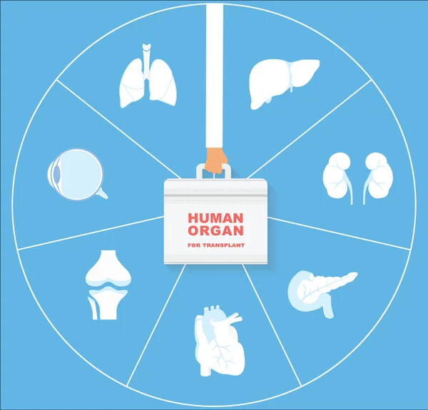 Conjunto de iconos de órgano humano para trasplante. Concepto de trasplante de ogros . — Archivo Imágenes Vectoriales