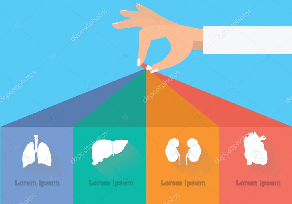Medicine side effect infographic. Medication effected organs vector