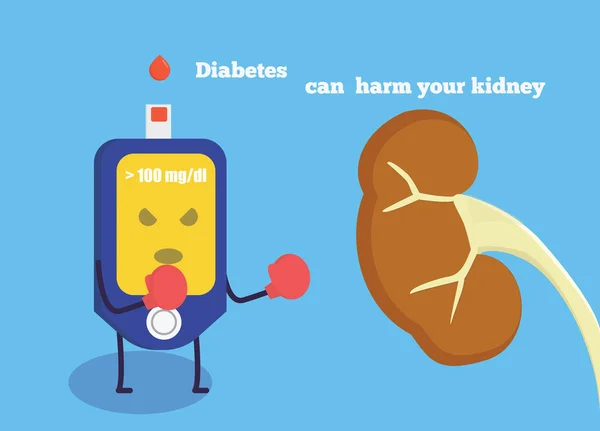 Diabetes can harm your kidney. — Stock Vector