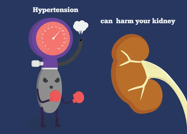 Högt blodtryck kan skada din njure. — Stock vektor
