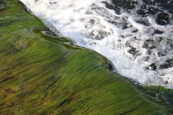 Ιστορικό με τρεχούμενο νερό και πράσινα φύκια στο waterfal — Φωτογραφία Αρχείου