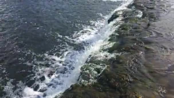 Europeiskt vattenfall vid floden Venta, Lettland — Stockvideo