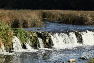 Venta Nehri 'ndeki Ventas Rumba Şelalesi. Kuldiga, Letonya