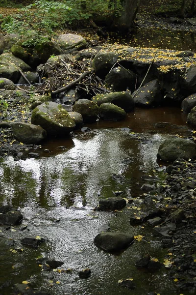 Малые реки Латвии, зеркальное отражение воды, мох на скалах, черные речные камни — стоковое фото