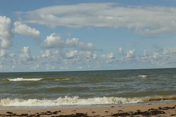 Балтійське море в серпні. Пісок, водорості на березі, хвилі, прекрасні хмари і сонце — стокове фото