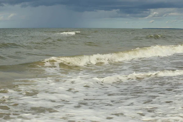 Ağustos 'ta Baltık Denizi. Kum, deniz yosunu, dalgalar, güzel bulutlar ve güneş. — Stok fotoğraf