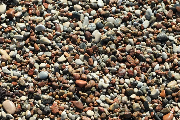 A többszínű tengeri kavicsok háttere — Stock Fotó