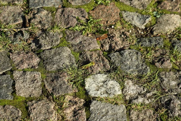 Antiga calçada de paralelepípedos musgosos — Fotografia de Stock