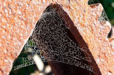 Bir örümcek, evini paslı bir tekerlekte, ağını güneş aydınlatır.