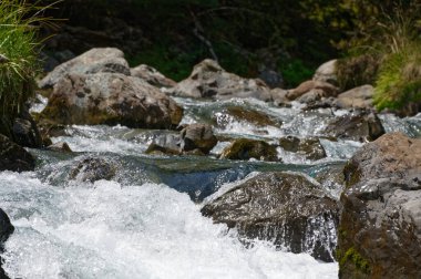 Suyun gücü nehirdeki kayalar arasında beyaz su oluşturur.