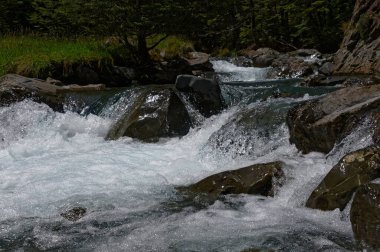 Nehirden aşağı süzülen kayalar arasında su fışkırır.