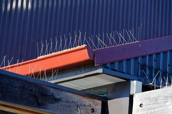 The wired bird protection is seen against the dark blue roof, the wires prevent the birds from roosting without hurting them