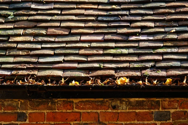 Time to do the Autumn home maintenance and empty the gutter of leaves